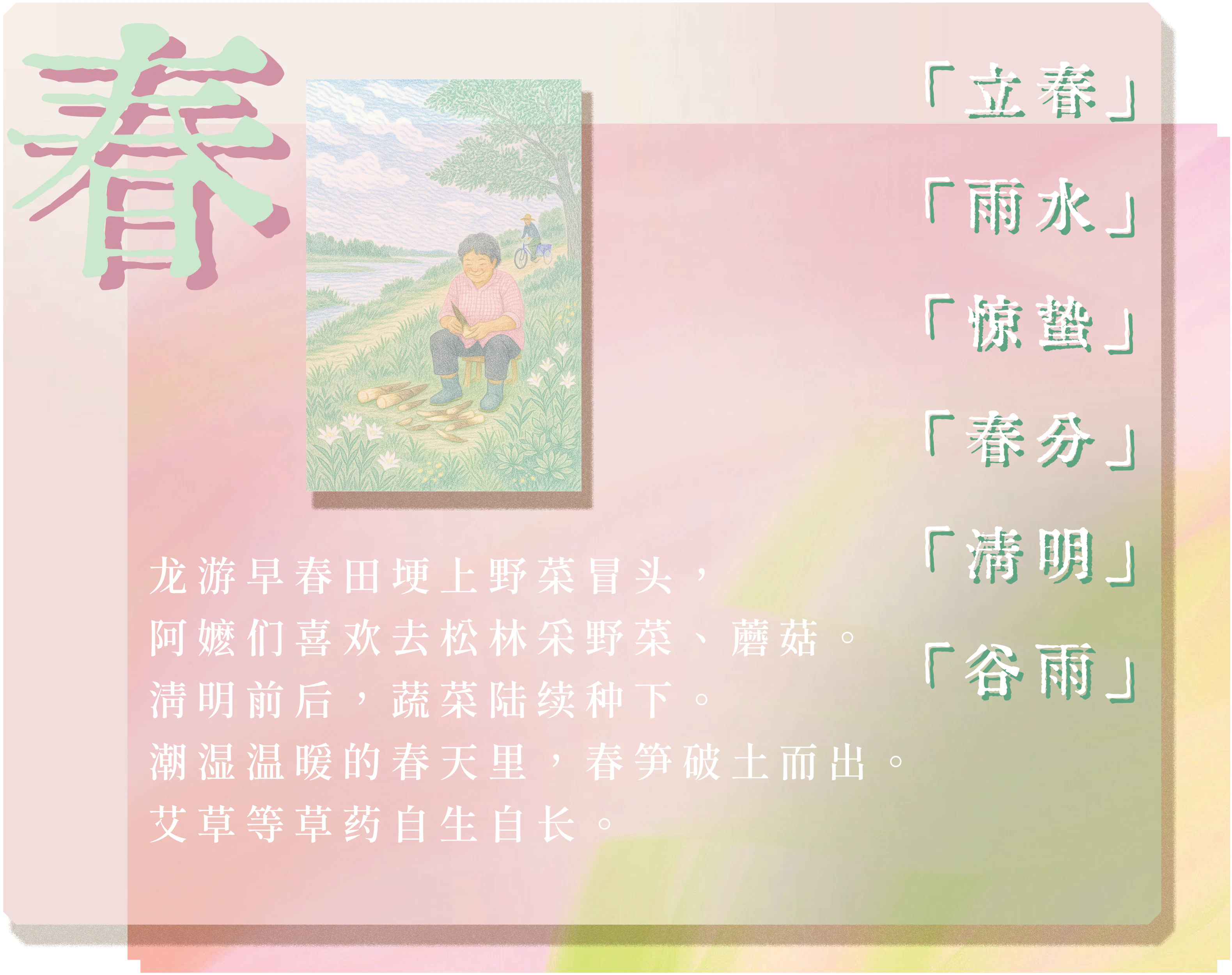春季主题卡：春日植物图鉴